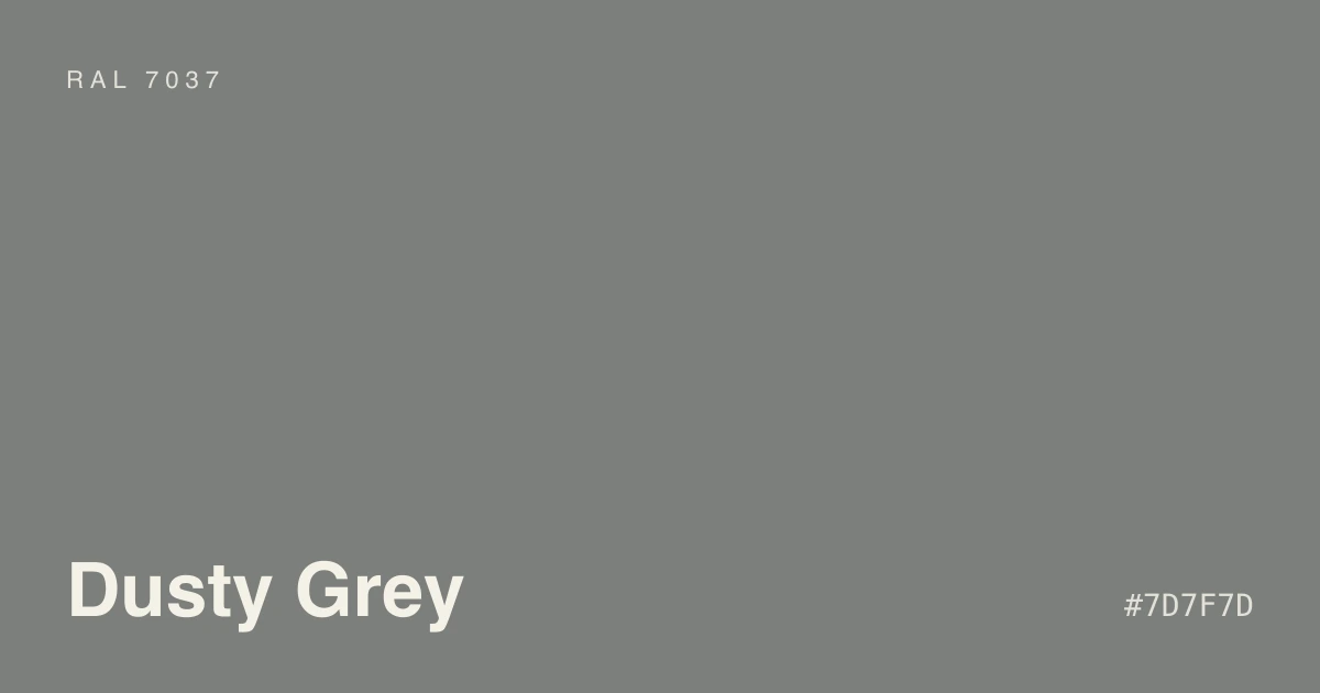 Sunlit room with a dusty grey painted accent
