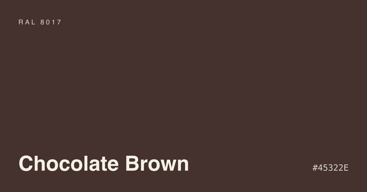 Sunlit room with a chocolate brown painted accent