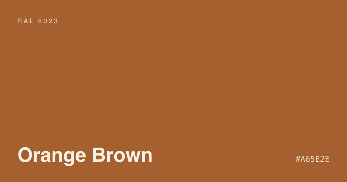 Sunlit room with a orange brown painted accent
